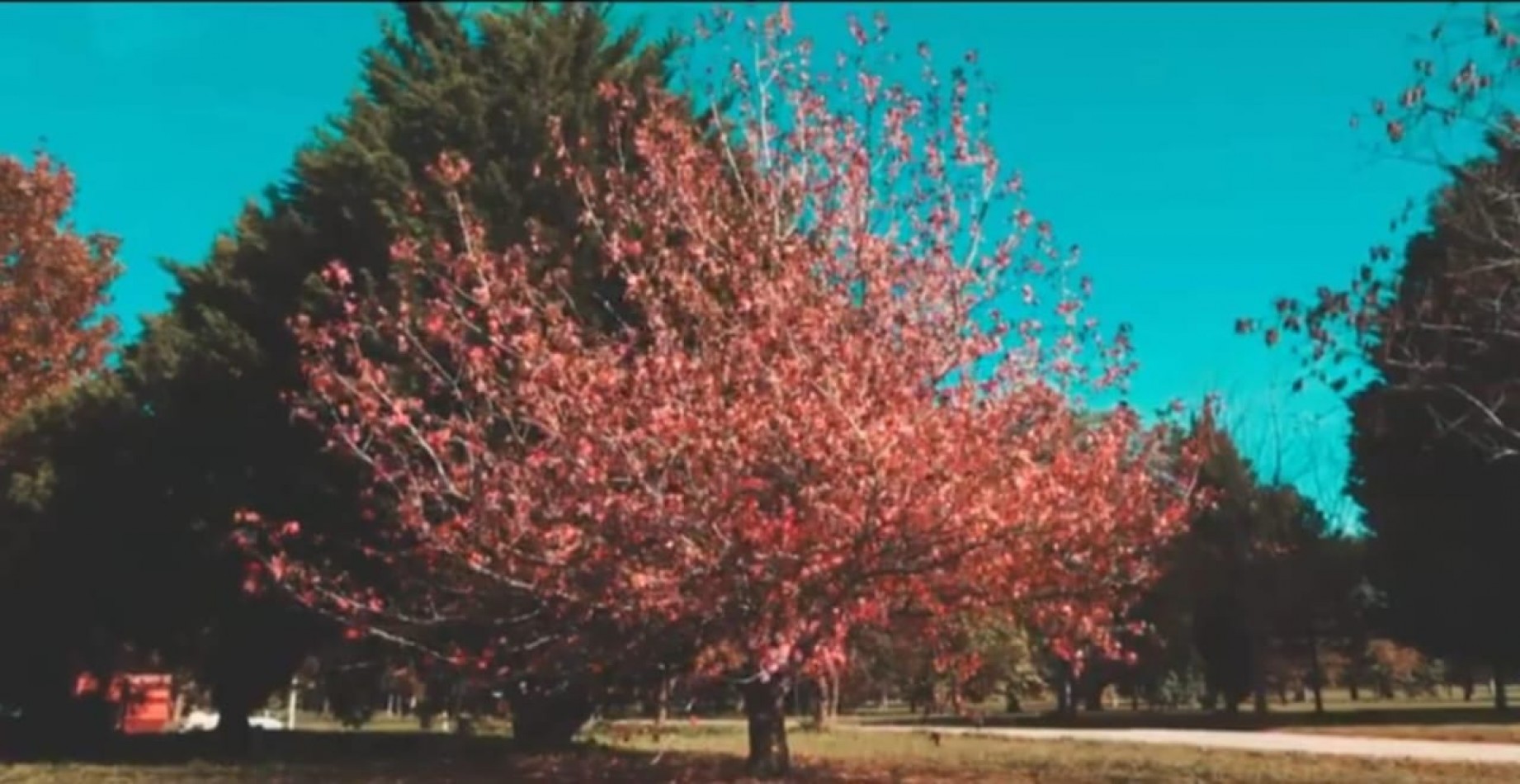VENTA LOTE BARRIO RESIDENCIAL LOS PINARES SANTA CLARA 