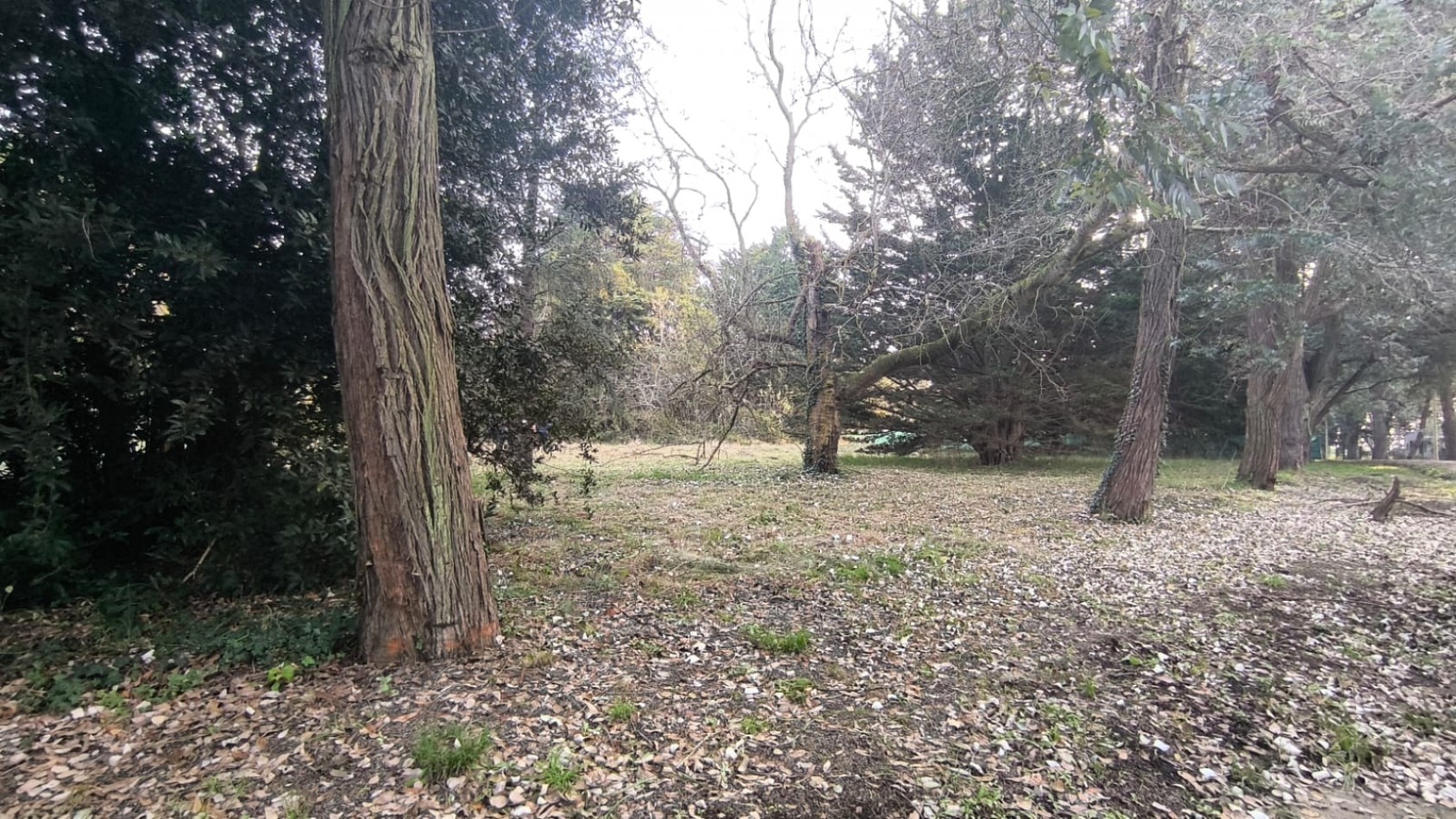 VENTA LOTE BARRIO RESIDENCIAL LOS PINARES SANTA CLARA 