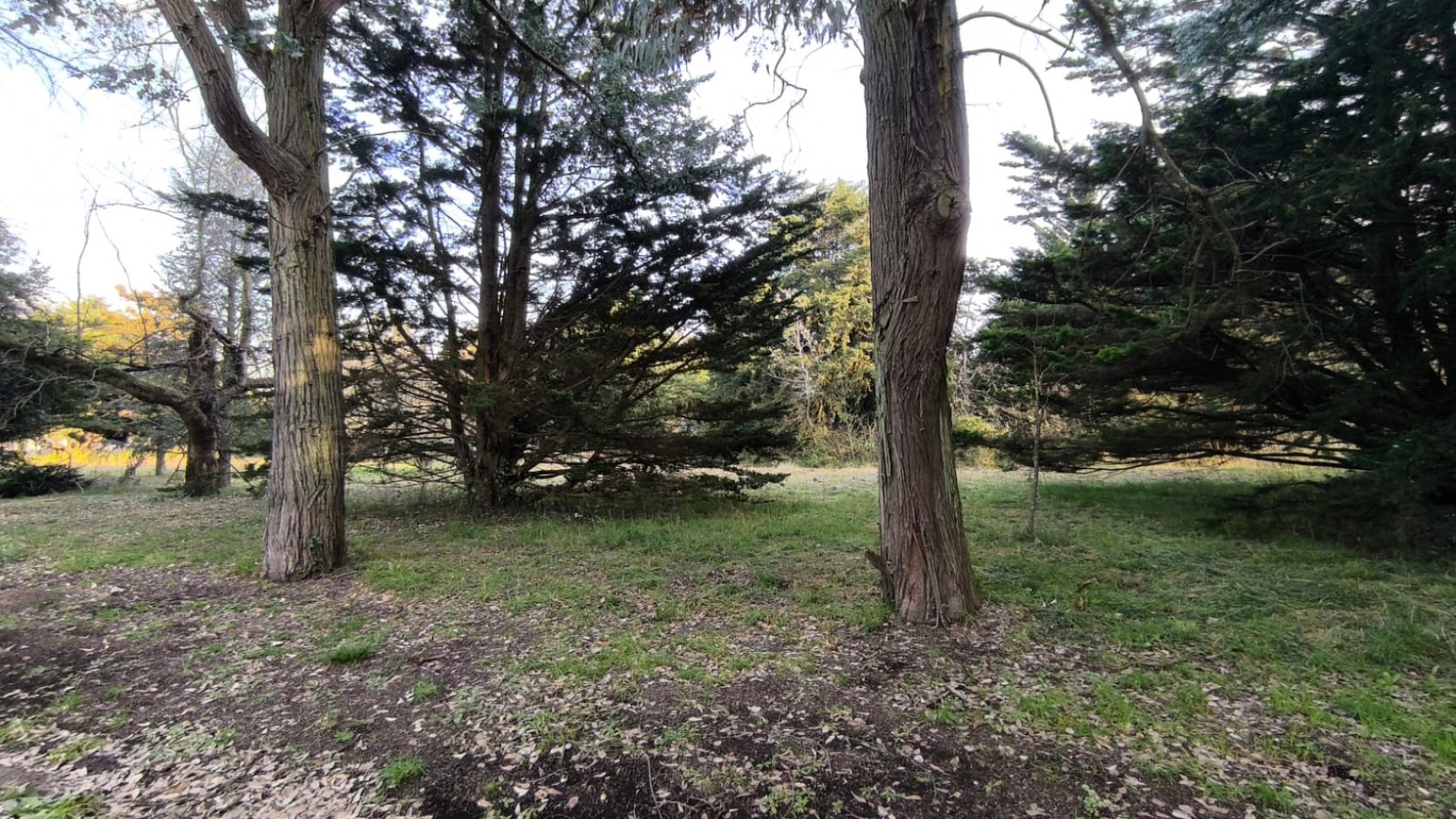 VENTA LOTE BARRIO RESIDENCIAL LOS PINARES SANTA CLARA 