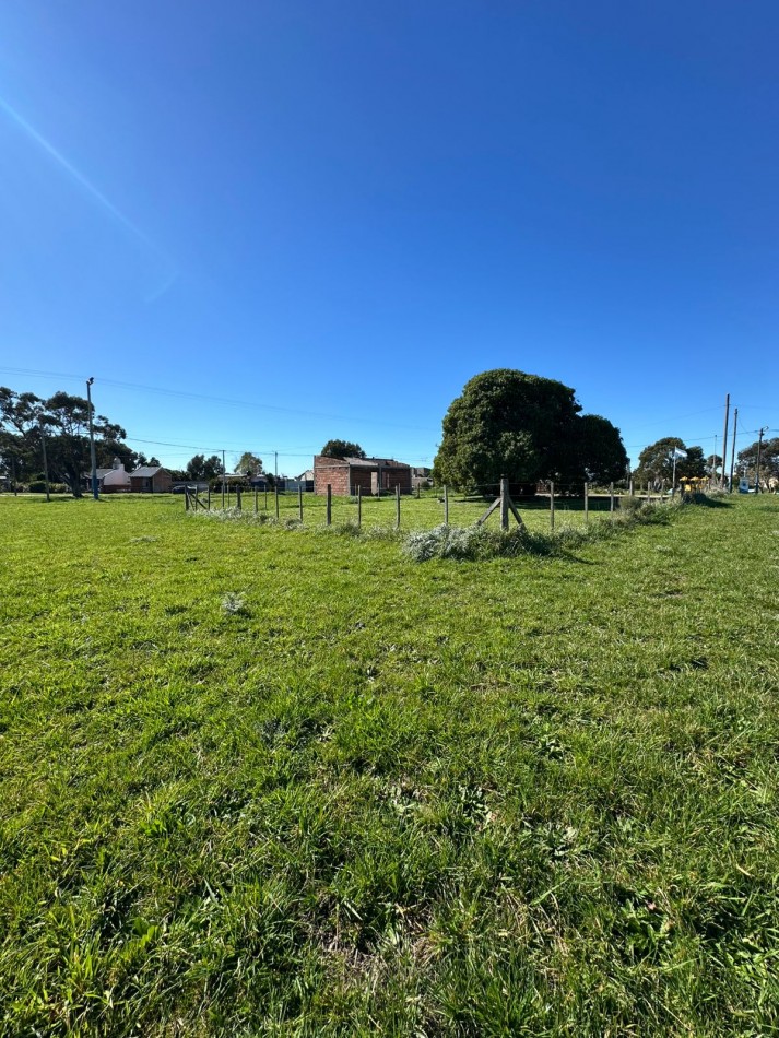 VENTA LOTE PLATA DORADA de 15 X 38